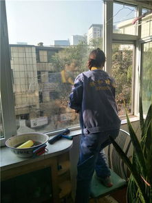 西宁和鑫家政 建筑物清洁服务的专业之选